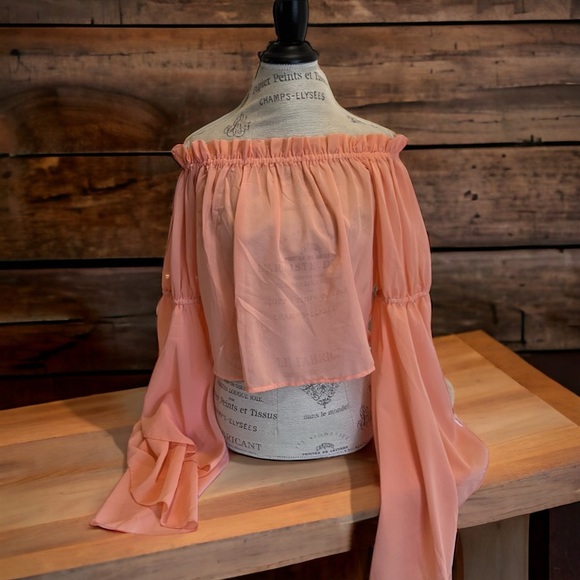 Feel beautiful in this romantic ruffled semi-sheer and feminine peach blouse - Picture 7 of 16